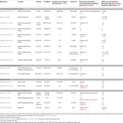 Chasing after Non-cyanobacterial Nitrogen Fixation in Marine Pelagic Environments